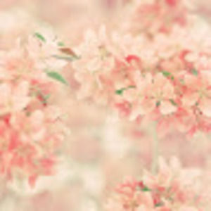 Meet your Posher, Maddy